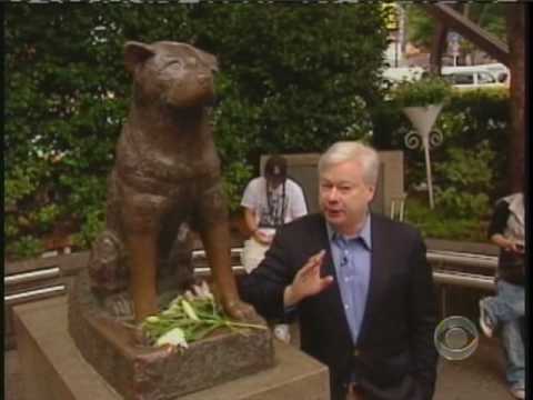 Hachiko: A Dog's Story of Loyalty in Tokyo