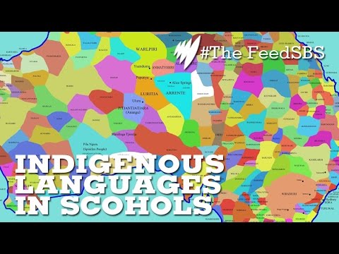 Indigenous languages added to syllabus I The Feed