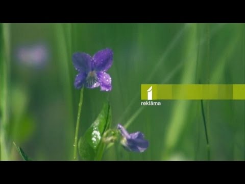 Television in Latvia - LTV1 idents