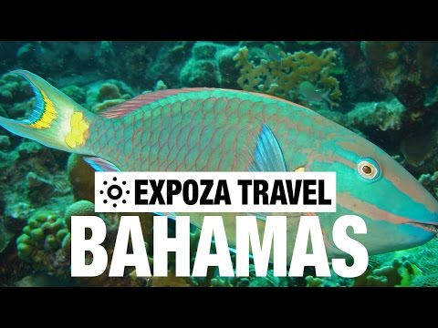 Bahamas Vacation Travel Video Guide