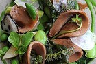 Braised lamb tongue, new season vegetables, parsley puree and saltbush.