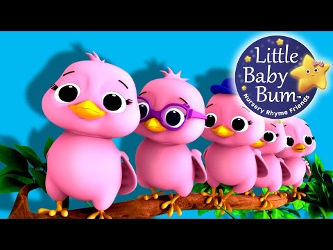 Five Little Birds | Nursery Rhymes | Original Song based on "5 Little Ducks" by LittleBabyBum