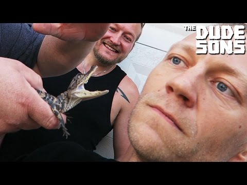 Alligator Bite My Face Challenge - The Dudesons