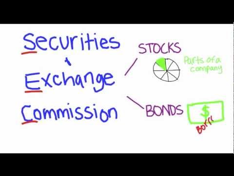 What does The Securities and Exchange Commission do?