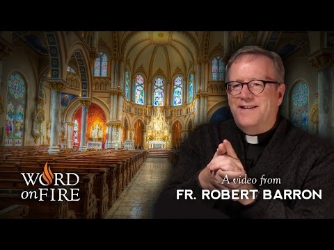 Is the Catholic Church Really the One, True Church? (#AskFrBarron)