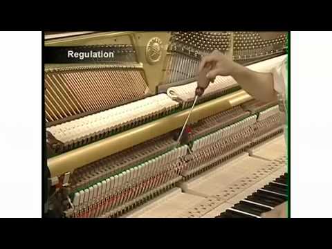 Yamaha Piano Factory Tour