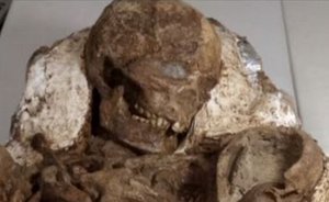 Fossil Of Mother Cradling A Baby Unearthed In Taiwan – There’s A Horrifying Reason Behind ...