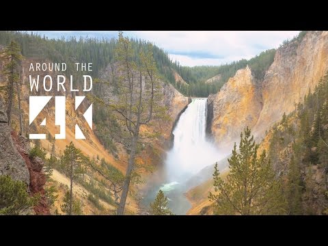 The Amazing Yellowstone National Park - 4K