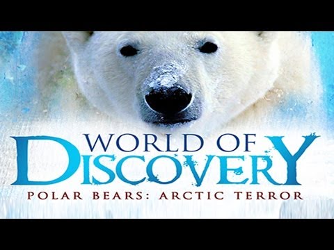 World of Discovery - Polar Bears: Arctic Terror