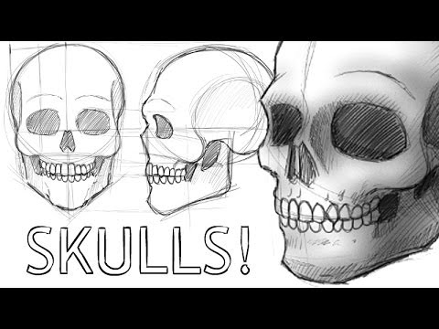 How to Draw Skulls