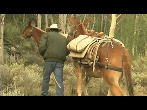 USFS - Pack Mule Program