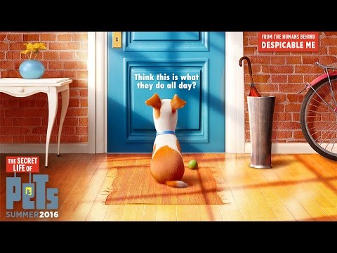 The Secret Life Of Pets - Official Teaser Trailer (HD) - Illumination