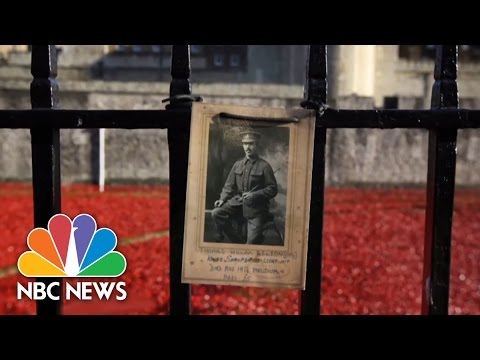 Armistice Day London: Poppies Honor WWI Soldiers | NBC News