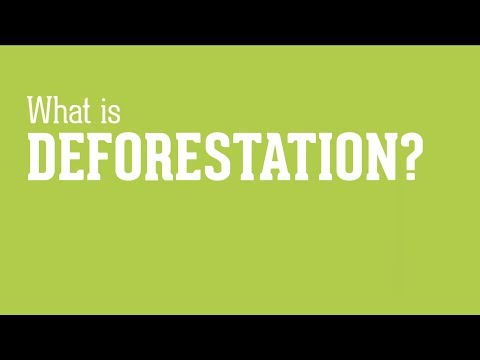 What is Deforestation?