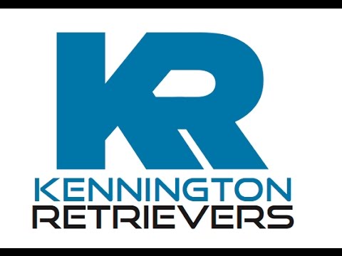 Kennington Retrievers: It Started With A Dog