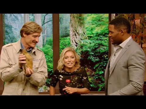 Kelly Ripa Jokes About Contract Negotiations on 'Live! With Kelly and Michael'