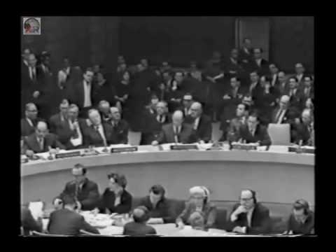 UN Security Council