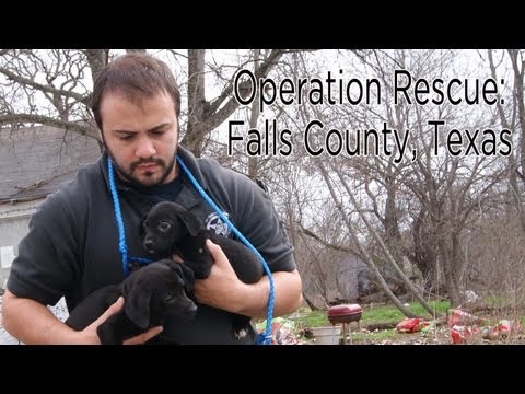 Operation Rescue...Falls County, Texas