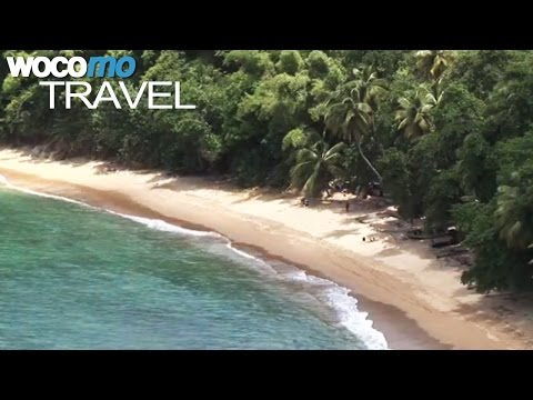 Tobago (travel-documentary from the season "Caribbean Moments")