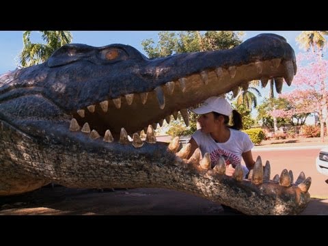 Normanton Holiday Travel Video guide, Queensland Australia