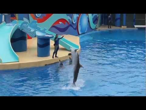 Ocean Park Hong Kong 香港海洋公園 6分半鐘 MV