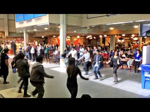 ICC World t20 Bangladesh 2014 Flash Mob - University of Manitoba@Winnipeg