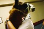 LAKEWOOD, CO - SEPTEMBER 01:  A nurse hugs Pisco, a 13-year-old therapy llama, during his visit to the Hospice of Saint ...