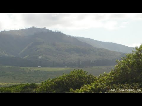 Billionaire Larry Ellison Buys Hawaiian Island For Estimated $500 million