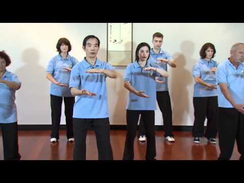 Tai Chi for Beginners, 8 Lessons with Dr Paul Lam - first lesson below