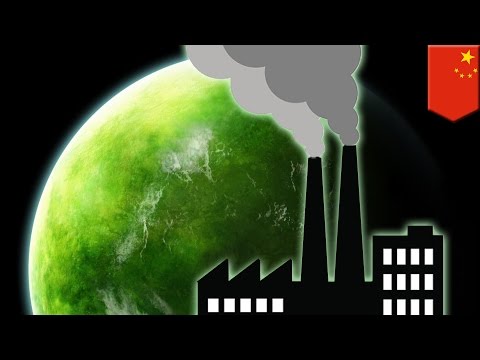 Climate change: Rising CO2 levels has led to a greener planet Earth, says new study - TomoNews