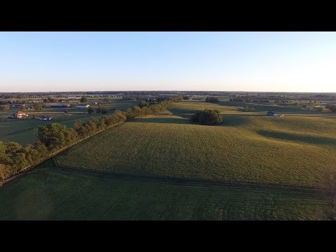 Lexington Kentucky horse country in 4k