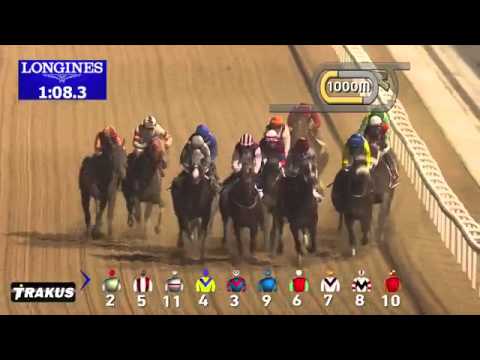 California Chrome wins the Dubai World Cup 2016 [Full Race]