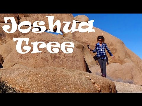 A Tour of Incredible Joshua Tree National Park, California