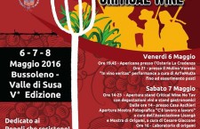 Critical Wine No Tav 6/7/8 maggio 2016 Bussoleno