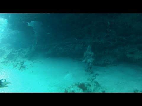 Underwater Hindu Temple dive in Mauritius 2013-10-16