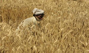 HRW urges Pakistan to stop use of force on Okara farmers