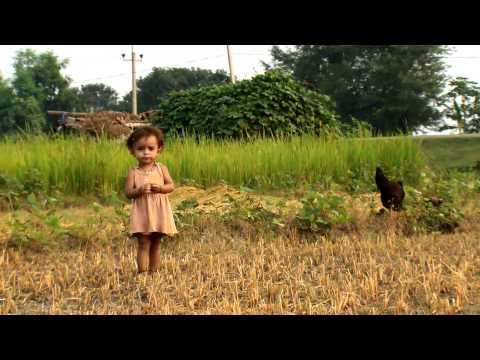 FAO in Nepal - Documentary version part 1/2