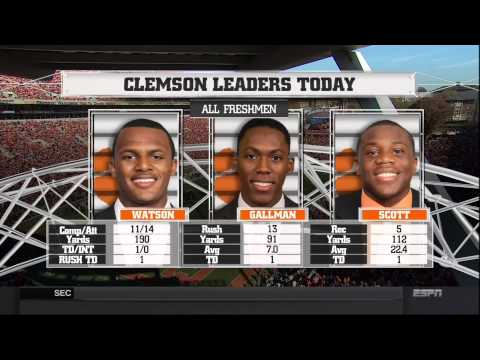 2014 Clemson vs South Carolina Football Game