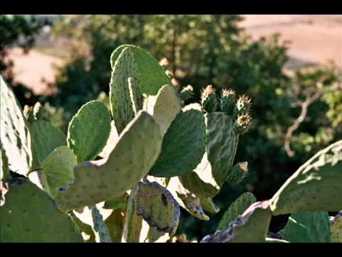 The Best Italian Traditional Music - Sicily ( Folk Music )