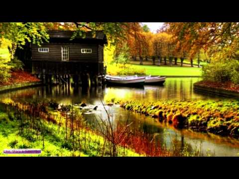 Relaxing Country Folk Music | Windswept | Relaxing Guitar Music For Relaxation