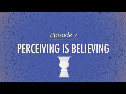 Perceiving is Believing - Crash Course Psychology #7