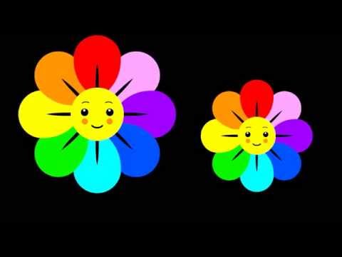 Baby Sensory - Raindrops - High Contrast Patterns and Animations for Infant Visual Stimulation