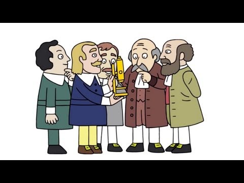 The wacky history of cell theory - Lauren Royal-Woods