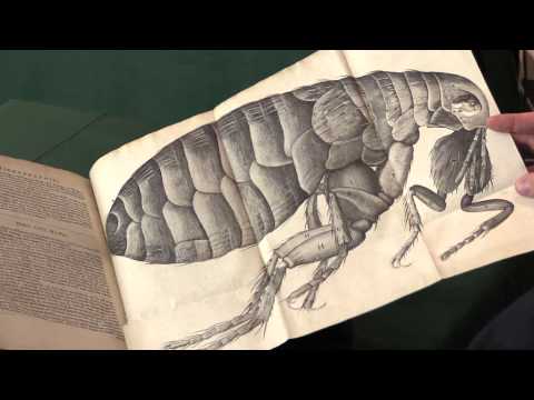 Robert Hooke. Micrographia