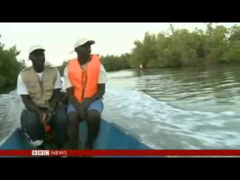 BBC News  Senegal begins marine conservation project