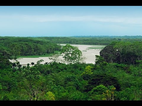 Amazon River Cruise HD