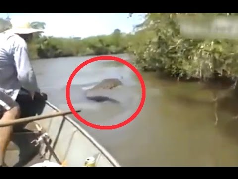 15 Amazon River Monsters