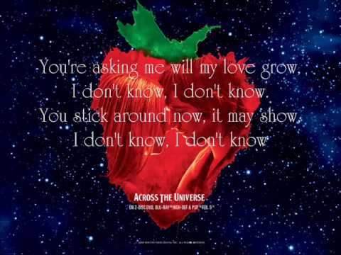 Something - Jim Sturgess {Lyrics}