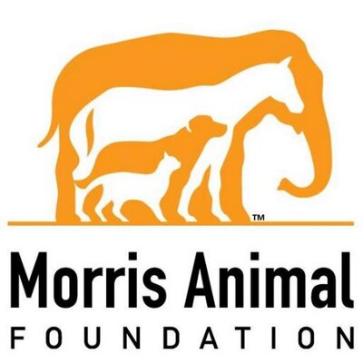 Morris Animal