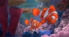 Finding Nemo (2012) photo